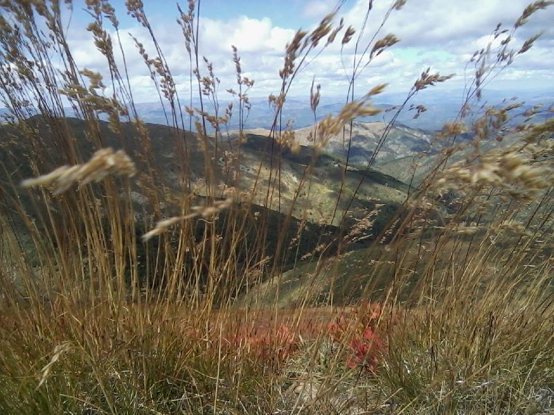 pl osogovo 24