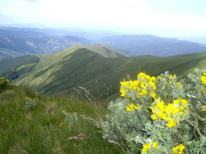 pl osogovo 30